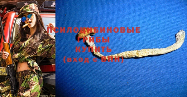 spice Протвино