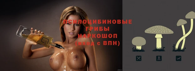 jwh Аркадак