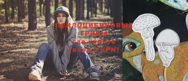 круглые Арсеньев