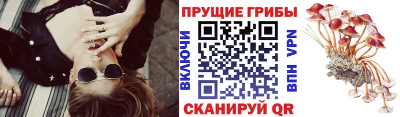 Галлюциногенные грибы Magic Shrooms  Слободской 