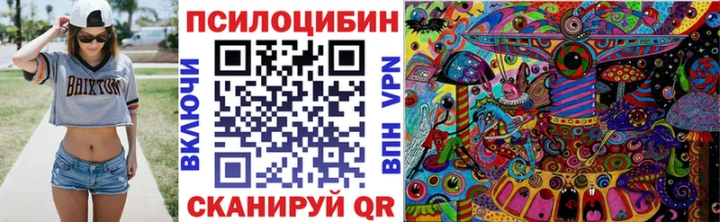Псилоцибиновые грибы Cubensis Слободской